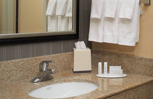 Dearborn Hotel | Courtyard by Marriott Detroit Dearborn