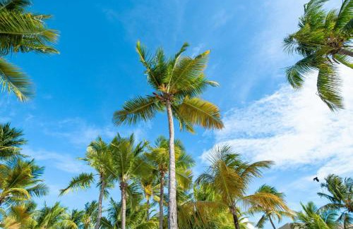 Isla Verde Complejo | Courtyard by Marriott Isla Verde Beach Resort