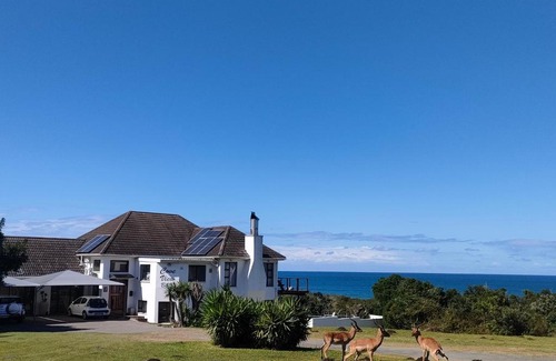 East London Cama Y Desayuno | Cove View B&B