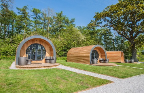Pickering Cabina | Cowslip Pod - Glamping para 4 personas