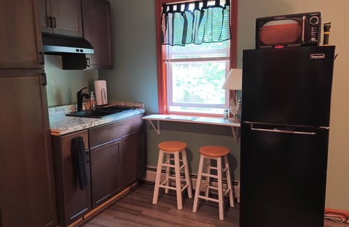 Queensbury Apartamento | Cozy 1 bedroom efficiency in a forest-like setting near Lake George and Saratoga