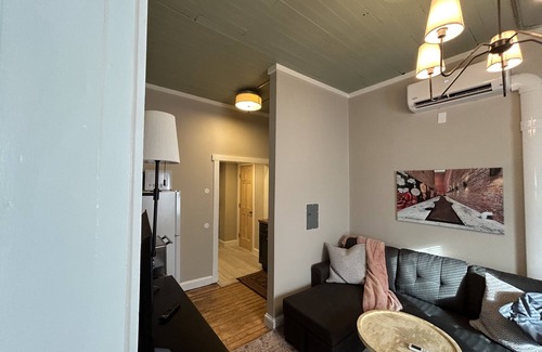 Springfield Apartamento | Cozy 1-bedroom apartment with WiFi, AC, washer/dryer in charming Springfield