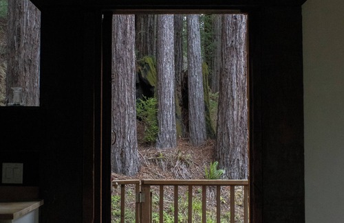 Little River Cabina | Cozy 1-bedroom cabin nestled in the Redwoods by the coast in Little River, CA
