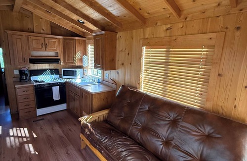 Winters Cabina | Cozy 1-bedroom Cabin on Putah Creek-Cottage 66