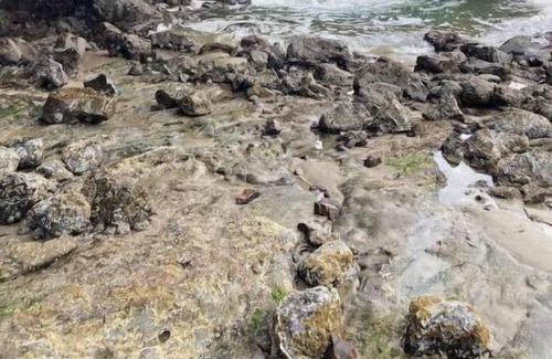 Seal Rock Casa | Cozy 1 bedroom surf camp with hot tub