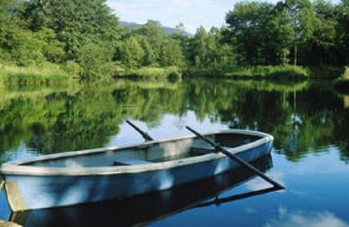 Milford Cabina | Cozy 1-BR cabin with additional sleeping loft. Less than 5 mi from Cooperstown