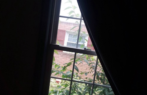 Berwyn Apartamento | Cozy 1 BR, Walk to Univ of MD, walk to Metro DC access, walk to shops n restaura