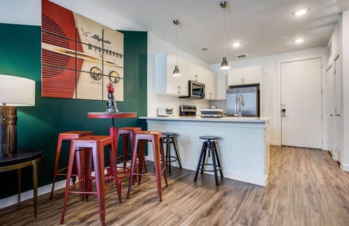 Riverside Apartamento | Cozy 1BR in Austin Riverside 3167