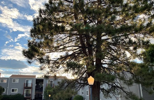 East Old Golden Rd Condominio | Cozy 2-bedroom condo in lovely Golden with AC, WiFi, Patio