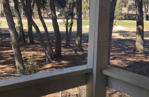 Folly Field Condominio | Cozy 2BR, FREE Bikes & Parking, Short Beach Walk