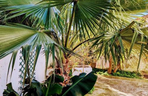 Sobral Casa | Cozy 3 BR Home - Close to Beach