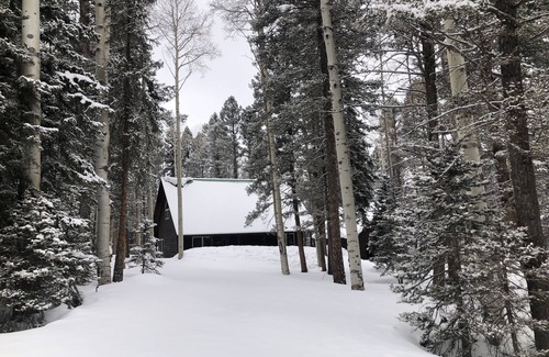 Cimarron Cabina | Cozy 3Bed 2Bath Cabin - Lodge / Snowmobile / UTV Rental Nearby