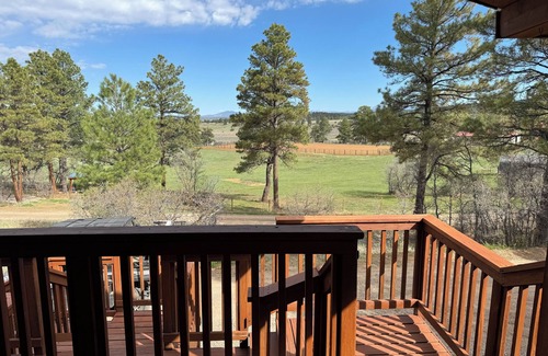 Los Ojos Cabina | Cozy 4-bedroom cabin in Chama with relaxing mountain vibes