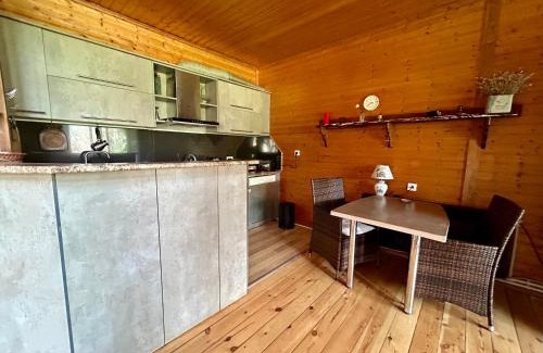 Ananuri Villa | ❆cozy, 4 BR. Villa in Ananuri❆