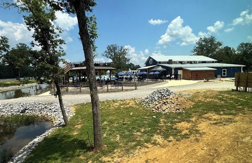 Gadsden Cabina | Cozy 6 person cabin with swim up tiki bar and hot tub!
