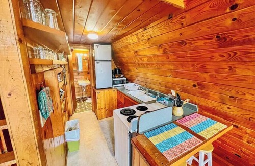 Howard Cabina | Cozy Cabin with Arkansas River View