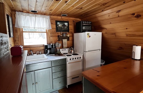 Hadley Cabina | Cozy Adirondack Cabin Near Lake George w/ Wood Burning Stove & Lake Access
