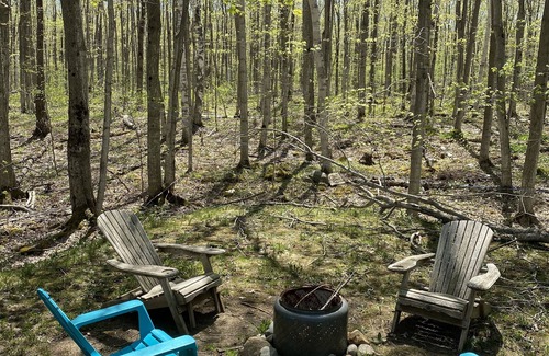 Northern Bruce Peninsula Cabaña | Cozy and Cheerful Cottage- Steps From the Lake!