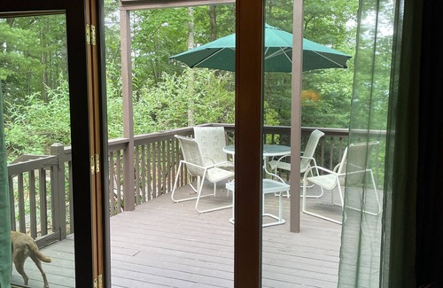 Pisgah Forest Cabaña | Cozy and fun mountain-view cottage 10 mins from shopping and hiking