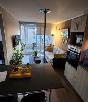 Vina del Mar Apartamento | Cozy and nice apartment