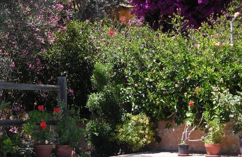 Agustinos Cabaña | Holidaycottage acogedor y tranquilo con piscina privada, climatizable y vistas impresionantes
