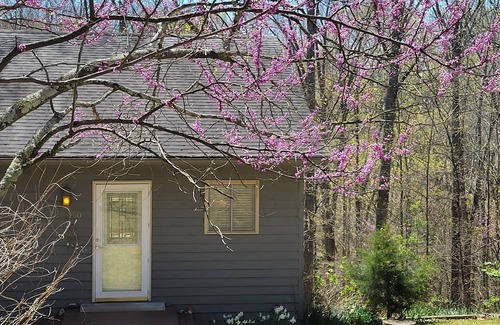 Bloomington Casa | Cozy and Relaxing...Just Steps To The Lake