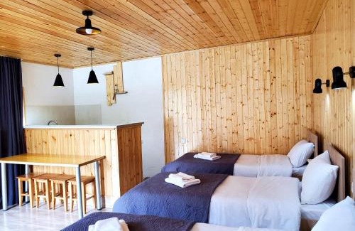Gergeti Cabina | Cozy apartament