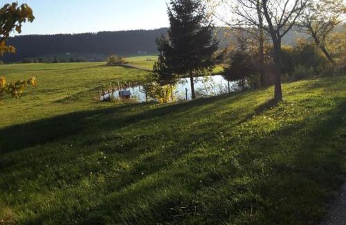 Villingen-Schwenningen Apartamento | Cozy Apartment in Schwenningen with Garden