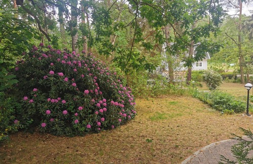 Oberhavel Apartamento | Acogedor apartamento en el Röblinsee en el sótano de una villa