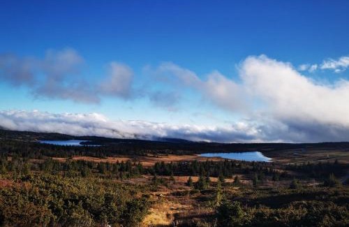 Gausdal Apartamento | Cozy apartment close to many experiences