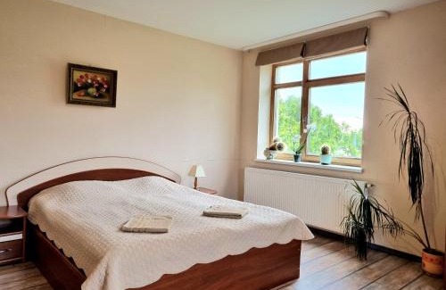 Ventspils Apartamento | Cozy Apartment Magnolia