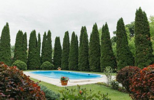 Pasareni Apartamento | Cozy apartment on the picturesque Niraj Valley