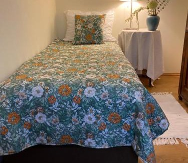 Steyr Apartamento | Cozy Apartment Steyr Mitte, ruhig, Parkplatz, Terasse, 2 Schlafzimmer, WLAN