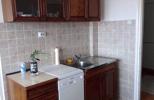 Leskovac Apartamento | Cozy apartment with beautiful view on Radan mountain