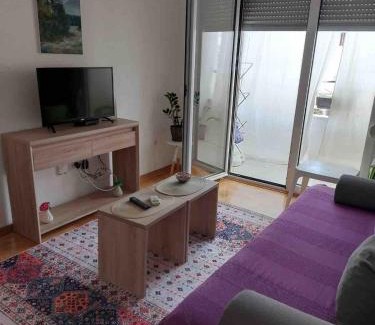 Golubovina Apartamento | Cozy Apartment with Private Garage - Walk to City Center