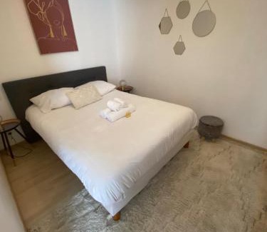 Miplaine Apartamento | Cozy atmosphere 4pers near Eurexpo GroupamaStadium