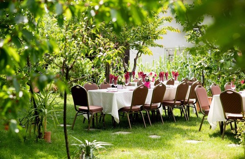 Ciolpani Cama Y Desayuno | Cozy B&B next to the forest ,10 minutes to Dracula`s monastery !