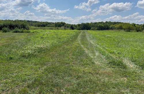 Wea Apartamento | Cozy Basement Apartment on 5 Acres with Private Entrance