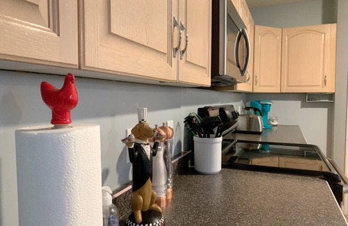 Northwest Edmonton Casa | Cozy Basement Suite close to Downtown