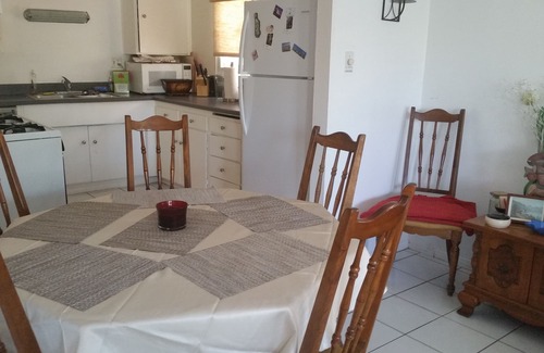 The Jungle Apartamento | Cozy Beach Apartment cerca de LAX y Silicon Beach