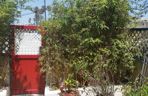 The Jungle Apartamento | Cozy Beach Apartment cerca de LAX y Silicon Beach