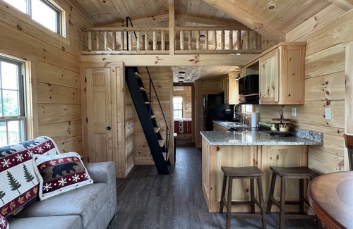 Boone Cabina | Cozy Bear Haven: Tiny Cabin, Incredible View!