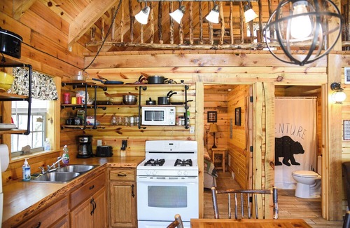 Leeper Cabina | Cozy Bear Log Cabin near Cook Forest State Park