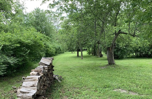 Blackstone Cabaña | Cozy Blue Cottage on 13 acres!