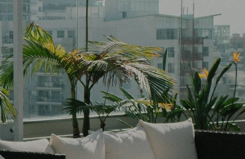 St. Elizabeth's Apartamento | Cozy Brighton 1BR w/ W/D, Doorman, near T & Shopping, by Blueground