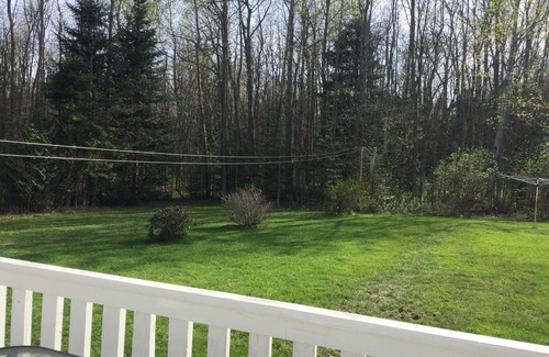 Lion's Head Casa | Cozy bungalow in the forest on the Bruce Peninsula. Pet friendly