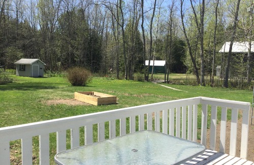 Lion's Head Casa | Cozy bungalow in the forest on the Bruce Peninsula. Pet friendly