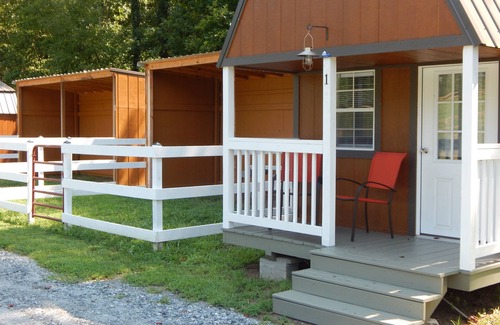 Caroleen Cabina | Cozy Cabin 1 at Bird's Nest Bunkies and Barn in Ellenboro with WiFi, AC, & Heat