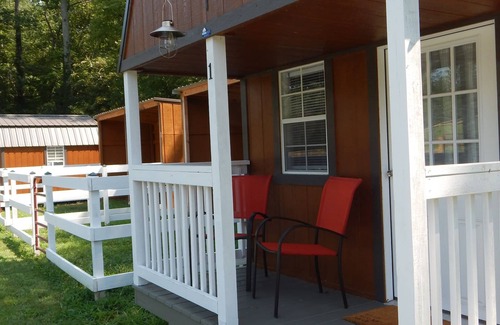 Caroleen Cabina | Cozy Cabin 1 at Bird's Nest Bunkies and Barn in Ellenboro with WiFi, AC, & Heat