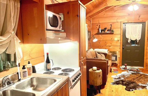 Enoree Cabina | Cozy cabin and contemporary container home on one property! Pets welcome!